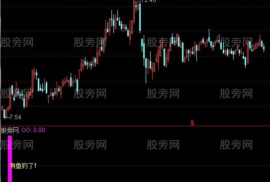 通达信有鱼钓了指标公式