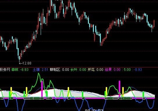 通达信一品种树指标公式